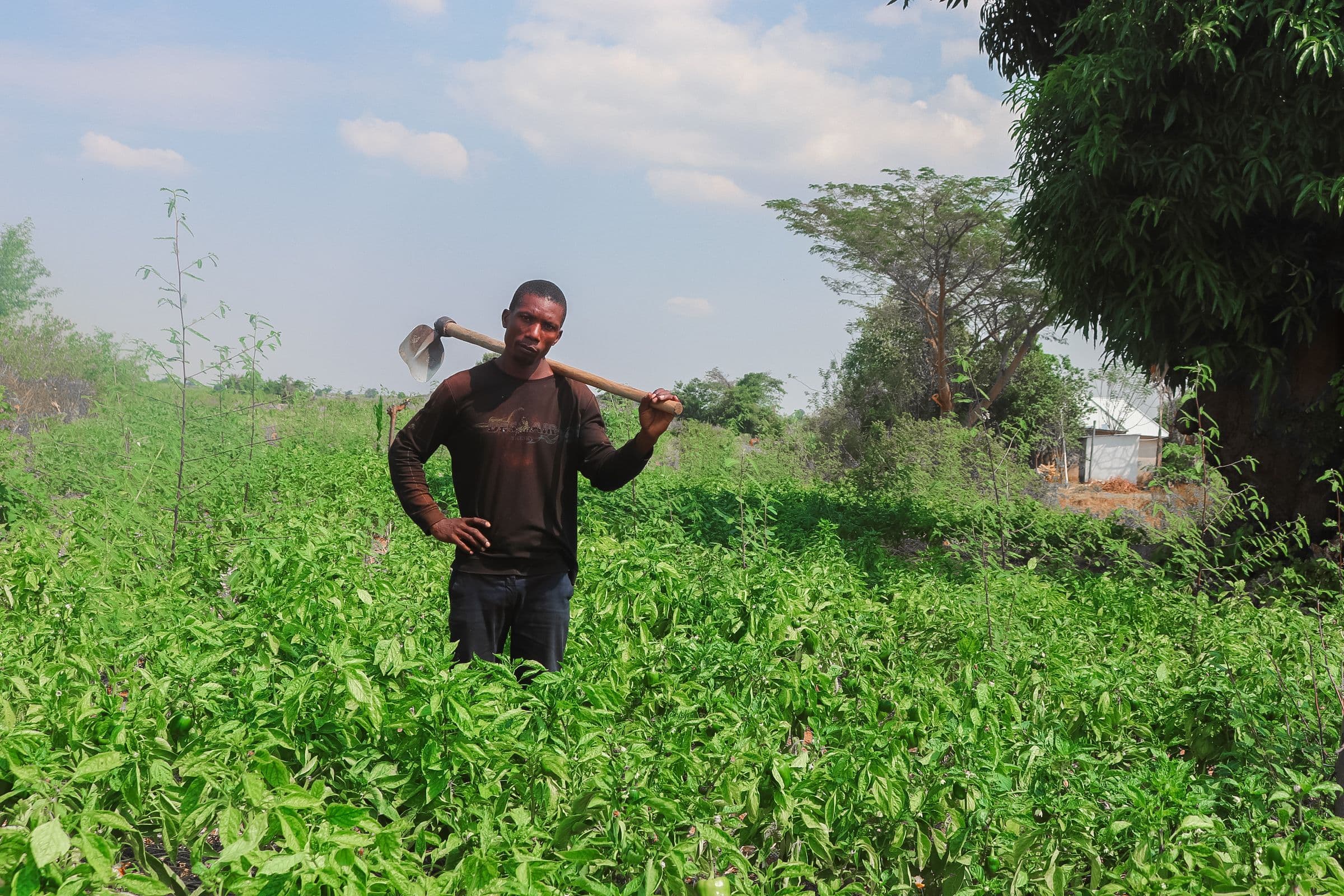 from-unemployment-to-entrepreneurship-zakaria-s-journey-to-empowering-youth-through-farming